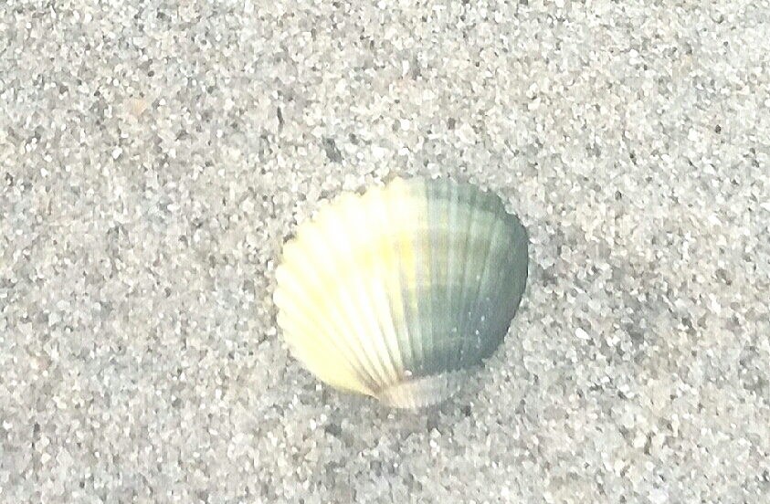 20180306_003607