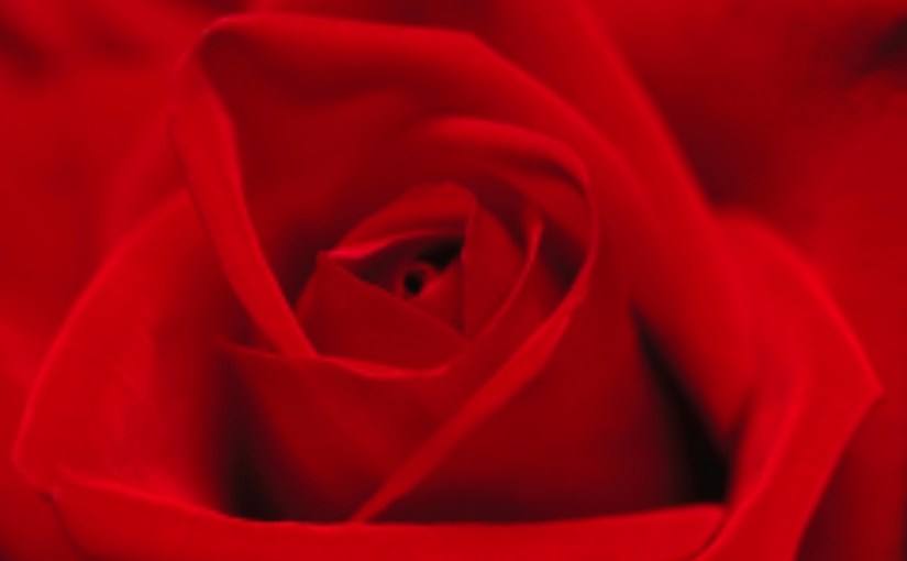 Guarigione Angelica della Sessualità per l’Amore Infinito tra il Femminile e il&nbsp;Maschile