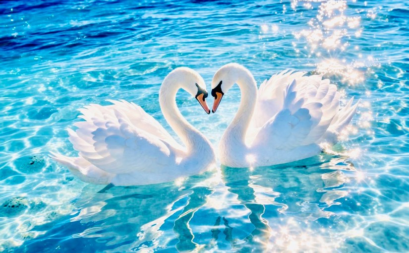 ❤️ Amore Vero ❤️ Esci dal brutto Anatroccolo&nbsp;❤️✨😇