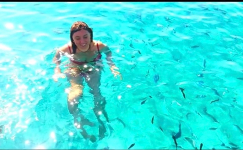 ❤️✨🐬 Buon Ferragosto❣️✨🐬